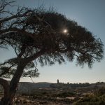 yannis fais photographer