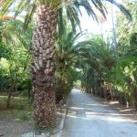 municipal-garden-i-rethymnon