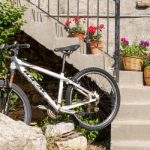 thumb__3e062-dryjohn-12