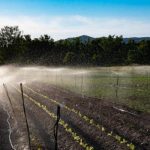 thumb__40439-dryjohn-photographer-22