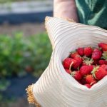 thumb__cf170-dryjohn-photographer-182