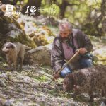 486501606_983386060644114_7286830492382675656_n