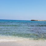 20180624-103634-largejpg