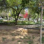 91453468_3778f710-fb28-4b36-887e-0e9adb455ae1_1745661744239