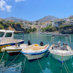 Zrzut ekranu 2026-02-11 120755