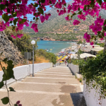 Zrzut ekranu 2026-02-11 120819