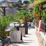 Zrzut ekranu 2026-02-11 123142