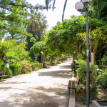 Zrzut ekranu 2026-02-11 134357