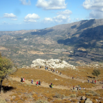 Zrzut ekranu 2026-02-11 135252