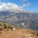 Zrzut ekranu 2026-02-11 135320