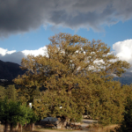 Zrzut ekranu 2026-02-11 135334