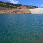 Zrzut ekranu 2026-02-13 095627