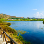 Zrzut ekranu 2026-02-13 102244