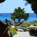 Zrzut ekranu 2026-02-13 104250