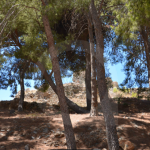 Zrzut ekranu 2026-02-13 105635