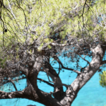 Zrzut ekranu 2026-02-13 105724