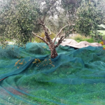 Zrzut ekranu 2026-02-13 112134