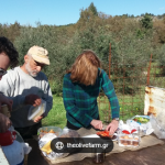 Zrzut ekranu 2026-02-13 112221