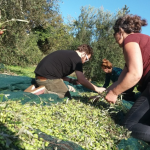 Zrzut ekranu 2026-02-13 112235