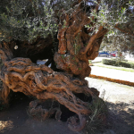 Zrzut ekranu 2026-02-13 114403