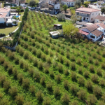 Zrzut ekranu 2026-02-13 115202