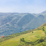 Zrzut ekranu 2026-02-13 115226