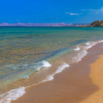 Zrzut ekranu 2026-02-13 122857