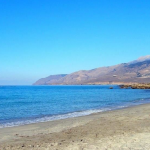 Zrzut ekranu 2026-02-13 123435