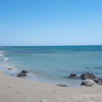 Zrzut ekranu 2026-02-13 123706