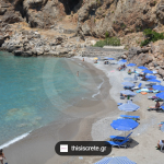 Zrzut ekranu 2026-02-13 125404