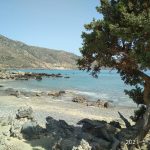 light-against-shades