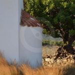 thumb__042dd-DSC_2275