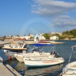 thumb__93725-DSC_8994