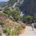 Captura de pantalla 2026-04-06 095333