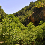 Captura de pantalla 2026-04-07 102038