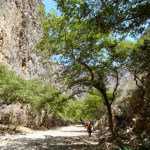 Captura de pantalla 2026-04-07 103257