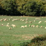 Captura de pantalla 2026-04-07 104107