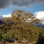 Captura de pantalla 2026-04-07 104200