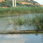 Captura de pantalla 2026-04-08 094355