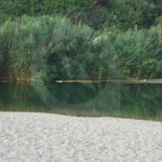 Captura de pantalla 2026-04-08 094453