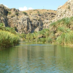 Captura de pantalla 2026-04-08 095443