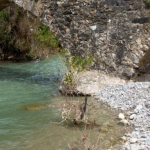 Captura de pantalla 2026-04-08 102357