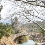 Captura de pantalla 2026-04-08 102421