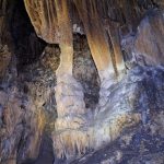 IMG_3576