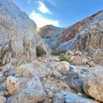 IMG_4628