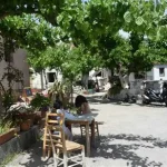 OIP (11)