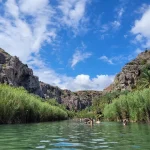 Preveli palm forest 2