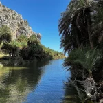 Preveli palm forest bosque 1
