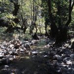 GREECE - JUNE 08: A creek in the gorge of Agia Irini, Crete, Greece. (Photo by DeAgostini/Getty Images)