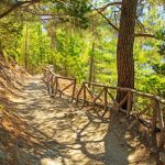 Greece - Crete - The hiking trail with wooden railings through the pine forest into magnificent Samaria gorge, the national park, world's biosphere reserve and the major tourist attraction of the island of Crete